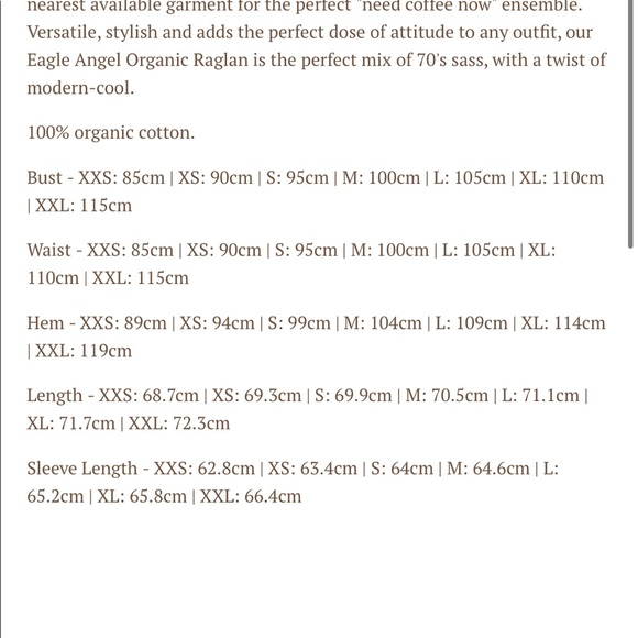 SPELL & the Gypsy Eagle Angel Abode Raglan Tee - Picture 6 of 6